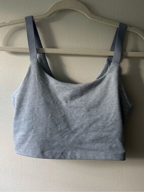 aerie Light Blue sports bra